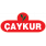 Çaykur