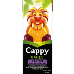 Cappy Karışık Meyve Suyu 200ml x27