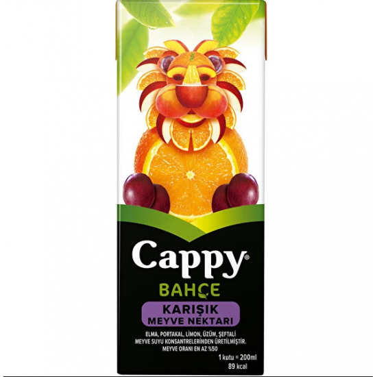 Cappy Karışık Meyve Suyu 200ml x27