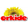 Orkide